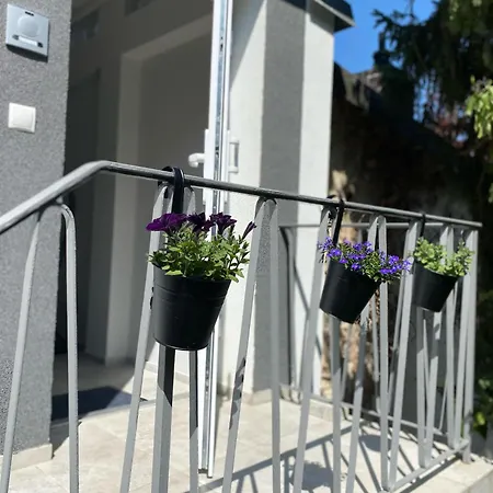 Ausblick Badenweiler