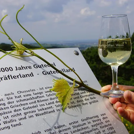 Ausblick I 5 Min Zu Therme & Kurpark & Wandern I Inklusive Parkplatz, Kontaktloser Check-in, Teilweise Kueche Appart hôtel 3*